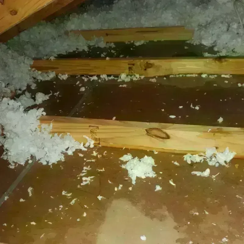 Attic Water Damage in East Baton Rouge Parish, LA